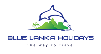 Blue Lanka Holidays